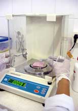 Unoeste instala laboratório de fecundação in vitro